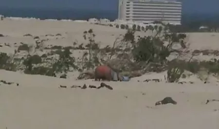 Oma vidéo gratuite porn und Enkelin